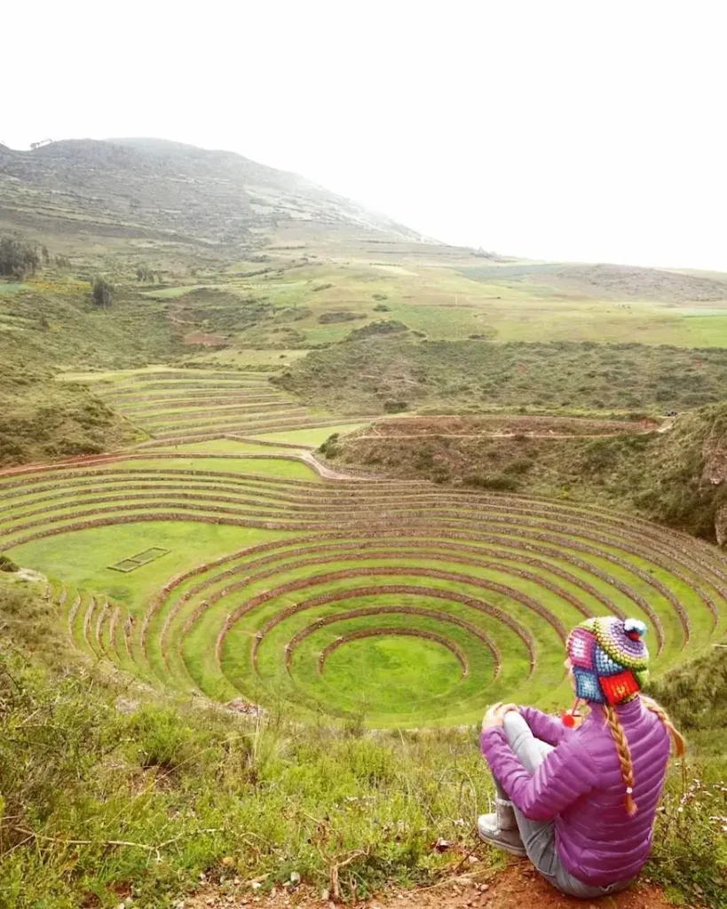moray